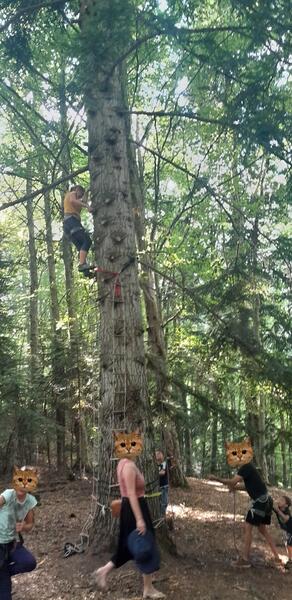 Percheries - Grimpe d'arbre et activités perchées
