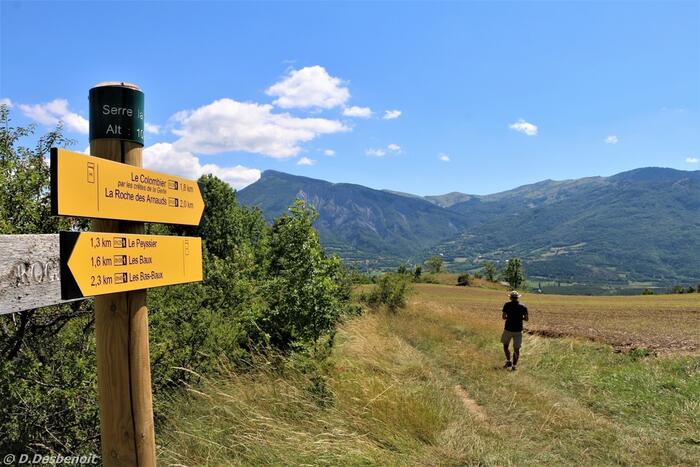 N°13 (vert) - Circuit de la Gerle