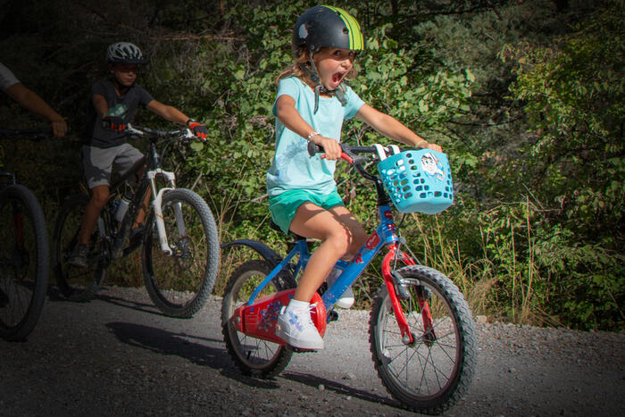 N°13 (Vert) - Le canal