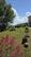 Photo Domaine de la Beaumette_Aspres-sur-Buëch - Photo 17