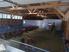 Photo La Ferme de Meyssirat - Photo 5