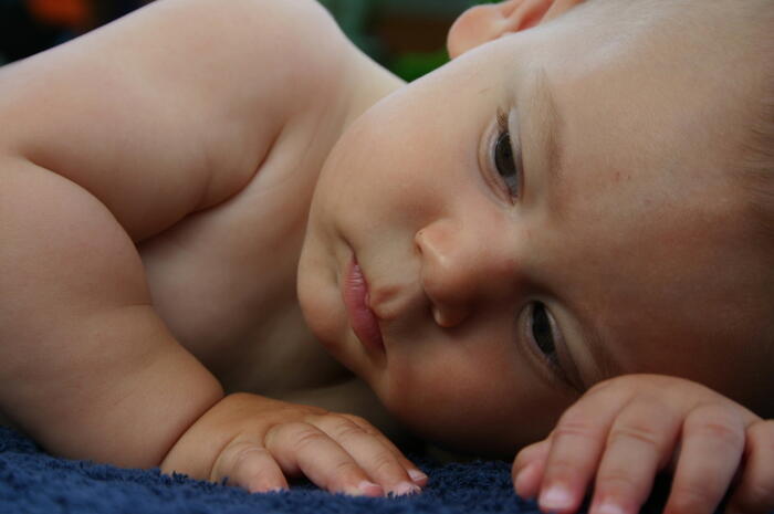 Terre de Bien être à Veynes - Photo 0