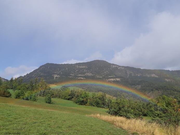 Sens & connexion - La vue depuis la salle - Photo 7