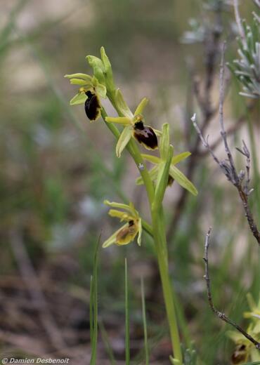 Rando la Beaume - Photo 13