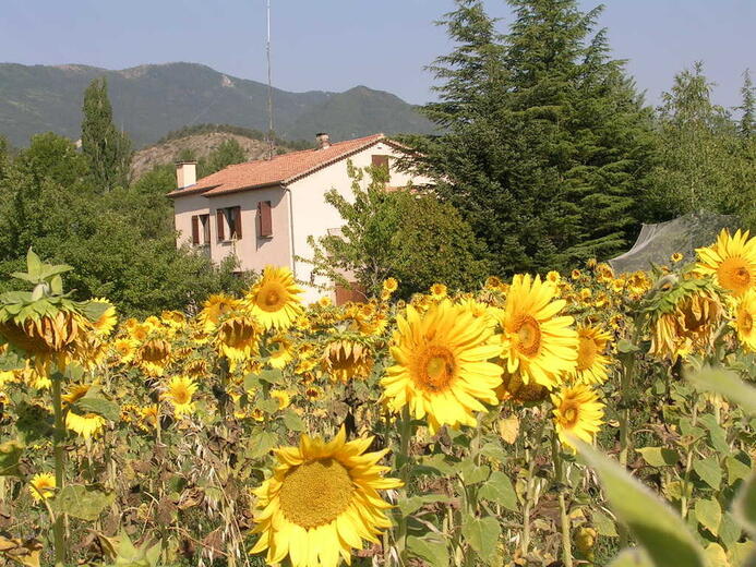 La Meuniere - Photo 3