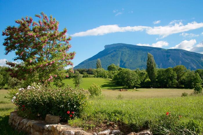 Gîte Tribu - Photo 35