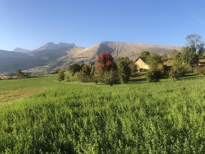 Gîte Tribu - Photo 33