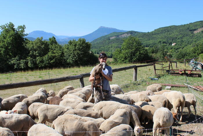 Ferme de la Beaumette - Photo 3