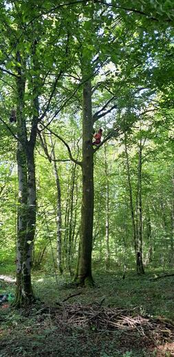 percheries - Photo 8