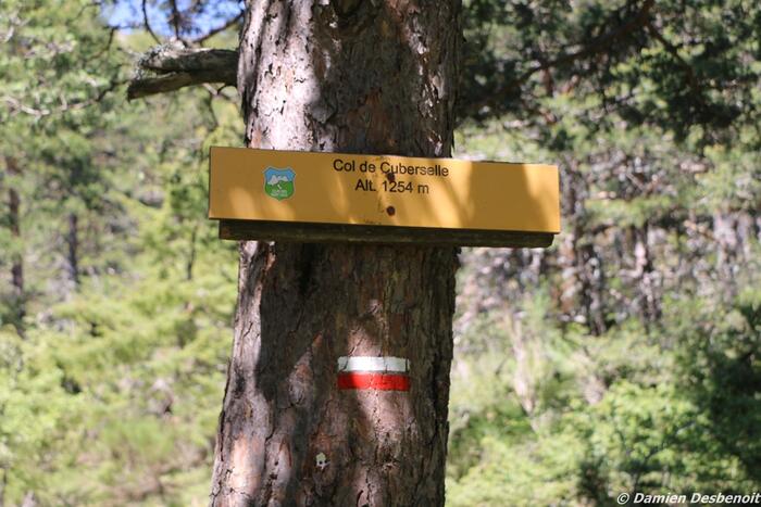 col de cuberselle - Photo 3