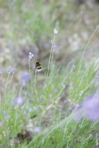 Col de Pierrefeu depuis Glaise - Photo 4