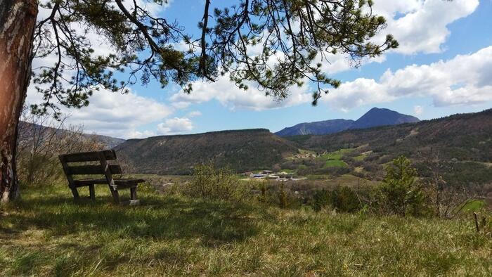 Sentier découverte du Serre-Gras - Photo 6