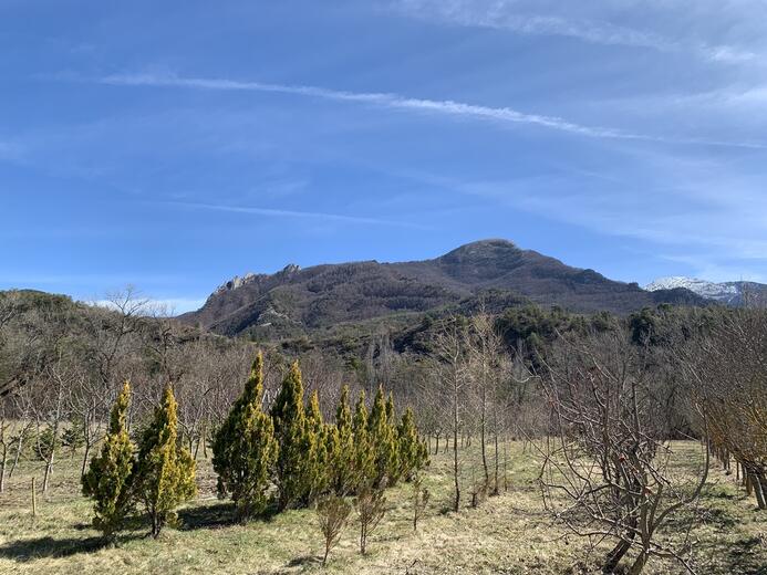 La grange des Pépinières - Photo 9