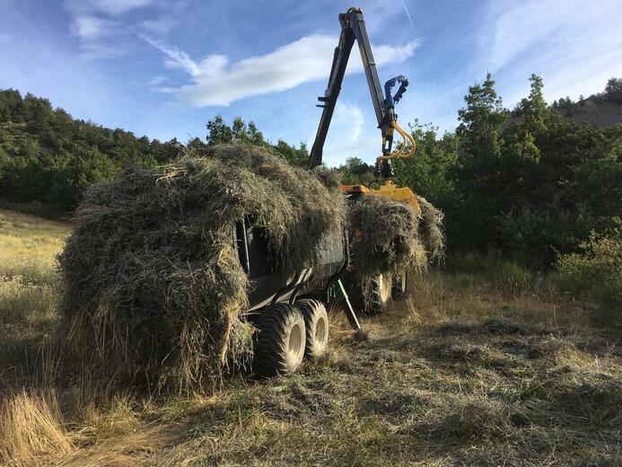 lavande - Les pusteaux - Photo 9