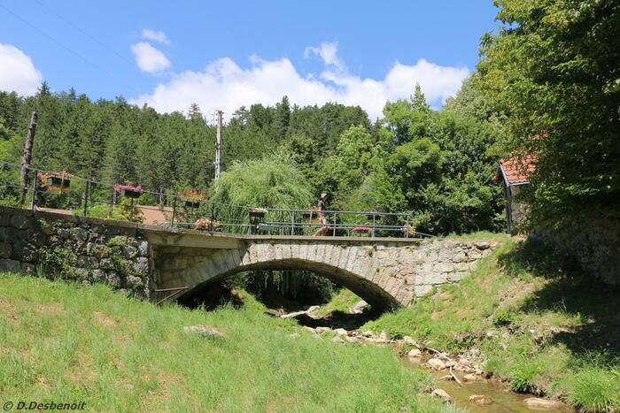 Circuit de la Gerle - Photo 1