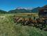 Photo La Ferme de Meyssirat - Photo 0