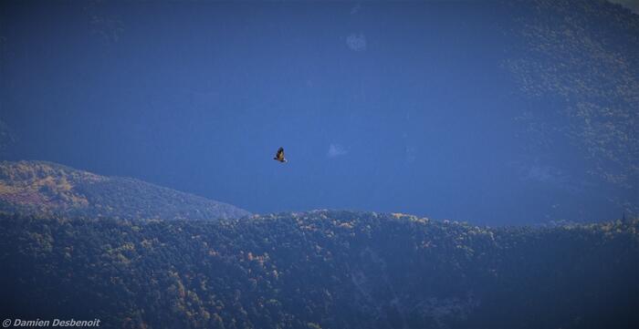 Haut de Charajaille - Photo 3