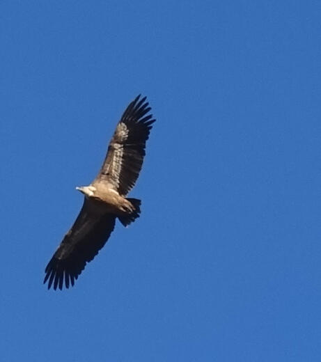 Séjour Grand Tour du Dévoluy avec Alizane Montagne - Photo 5