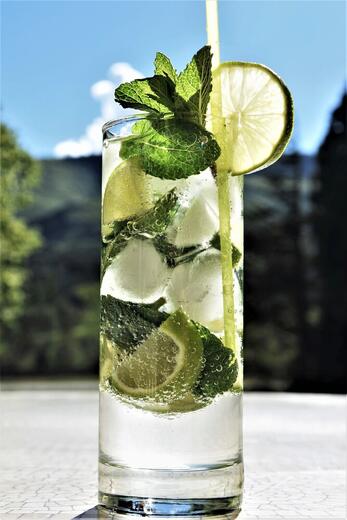 Mojito - Photo 10
