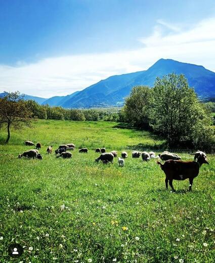 Domaine de la Beaumette - Photo 7