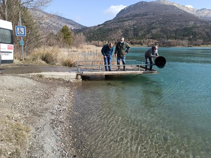 Lacher de truites au Riou - Photo 1