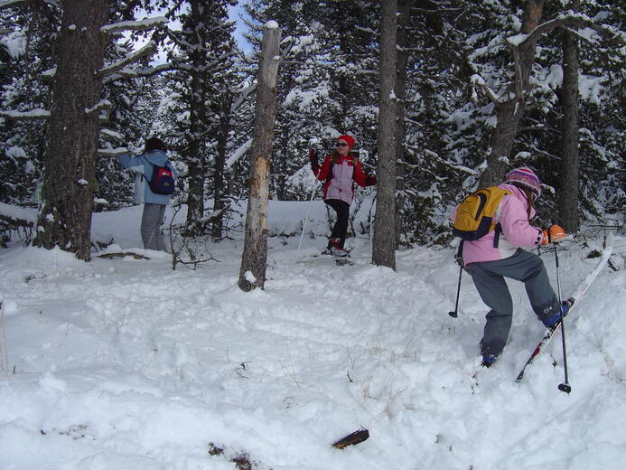 Claudine Beaume, prestataire d'activités - Photo 4