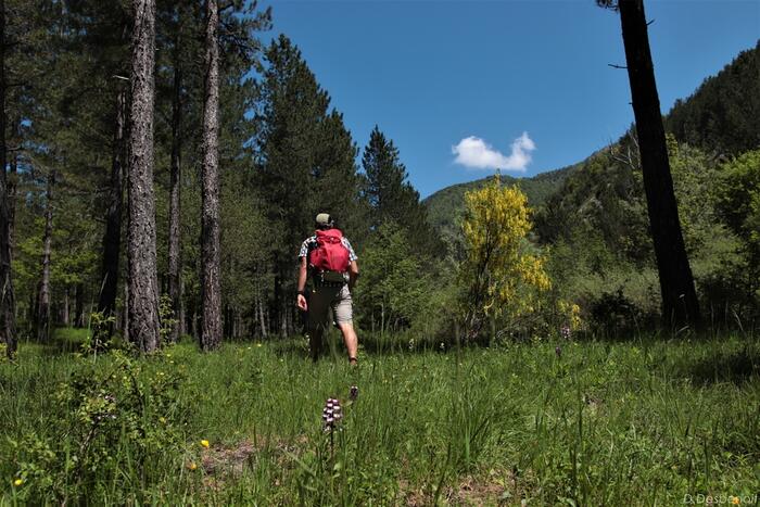 Les Agniellards - Photo 0