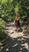 Photo Retrouvance® Musique au cœur des forêts_Montmaur - Photo 0