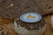 Photo Fromage de chèvre aux herbes - Photo 14