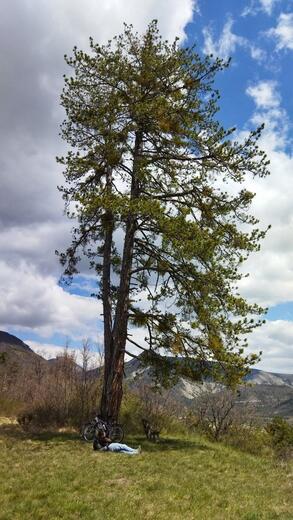 Sentier découverte du Serre-Gras - Photo 7