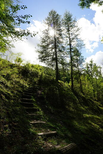 Maison forestière ONF de Chaudun - Photo 5