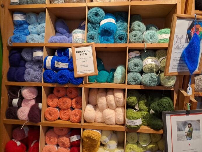 Notre angora - Photo 2