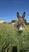 Photo Domaine de la Beaumette_Aspres-sur-Buëch - Photo 18