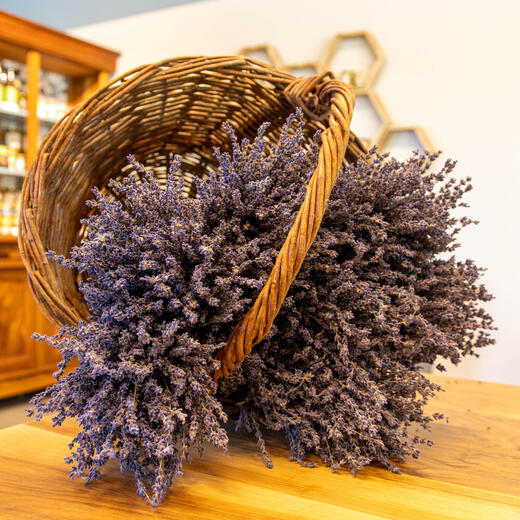 Lavanderaie des Hautes Baronnies - Photo 2