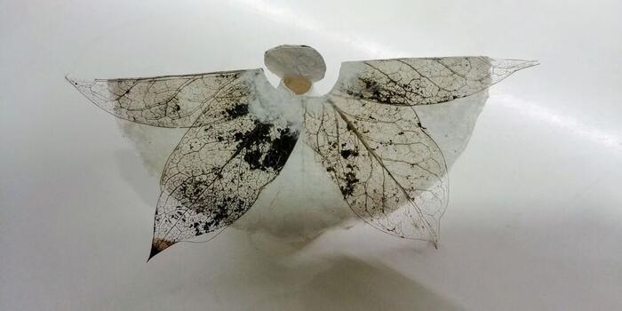 Création - Photo 10