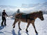 Photo Les Sabots de Vénus à La Roche des Arnauds - Photo 3