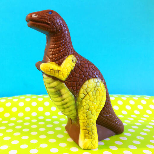 T Rex en chocolat - Photo 7