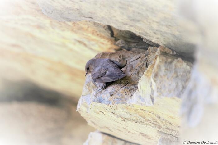 Le sentier des bancs - Photo 9
