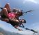 Photo Parapente Max_Oze - Photo 0