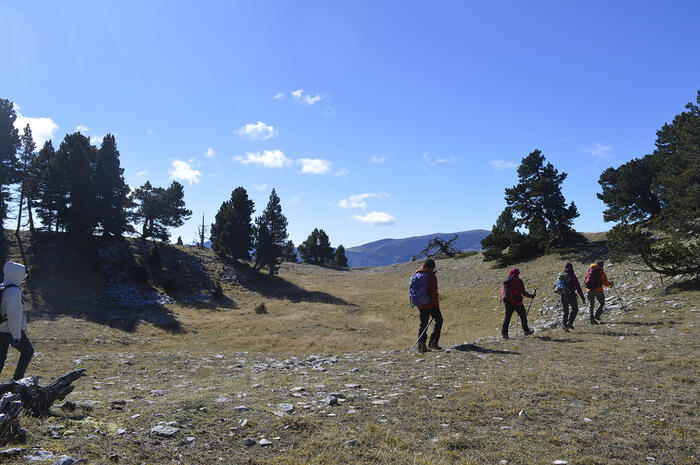 marche Afghane - Photo 1