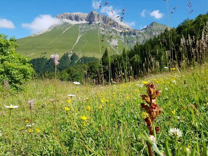 Conciergerie du Buëch - Photo 4