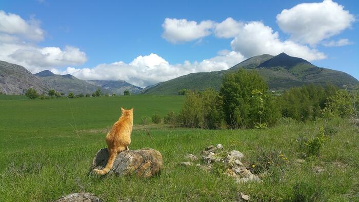 Au Coeur à Corps - Nathalie Libérator - Photo 5
