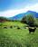 Photo Domaine de la Beaumette - Photo 1