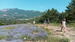 Photo Randonnée dans les champs de lavande - Photo 8