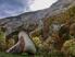 Photo Trompe de basses - Photo 0
