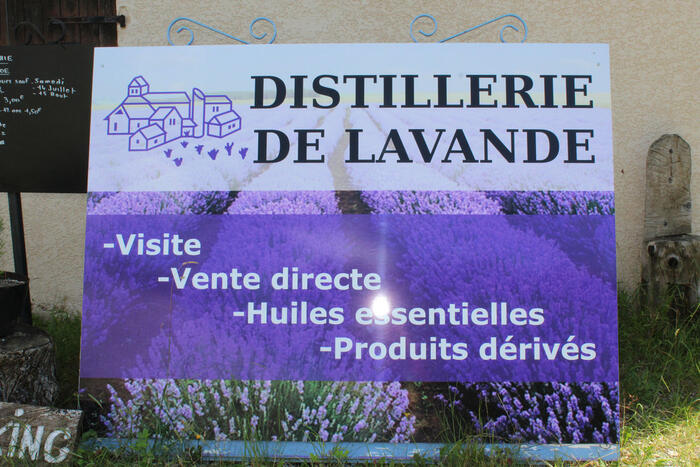 Distillerie de lavande - Photo 2