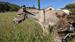 Photo Domaine de la Beaumette_Aspres-sur-Buëch - Photo 19