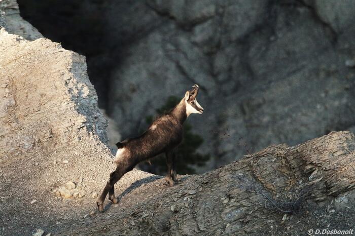 la boucle de Saint Apotre - Photo 9