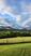 Photo Domaine de la Beaumette_Aspres-sur-Buëch - Photo 12