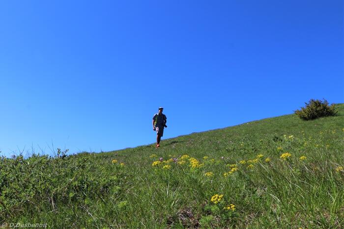 Les crêtes de Luzet - Photo 2